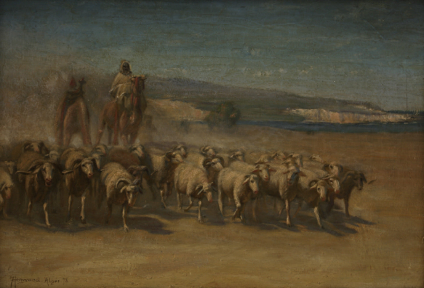 Shepherds herding their flock, Algiers  Oil on canvas by F. Henwood